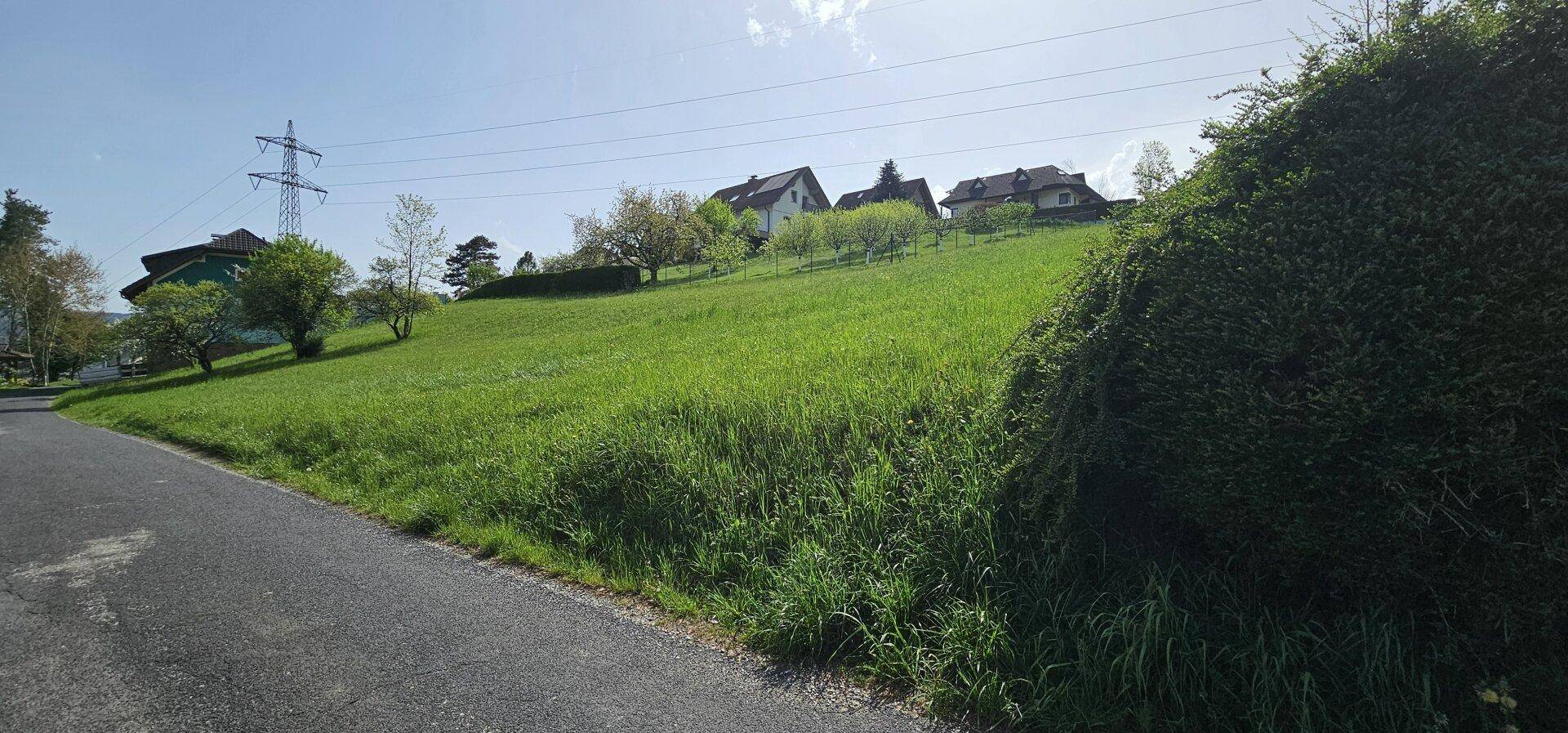 Weitläufige grüne Wiese mit Blick auf Wohnhäuser in der Ferne unter blauem Himmel.