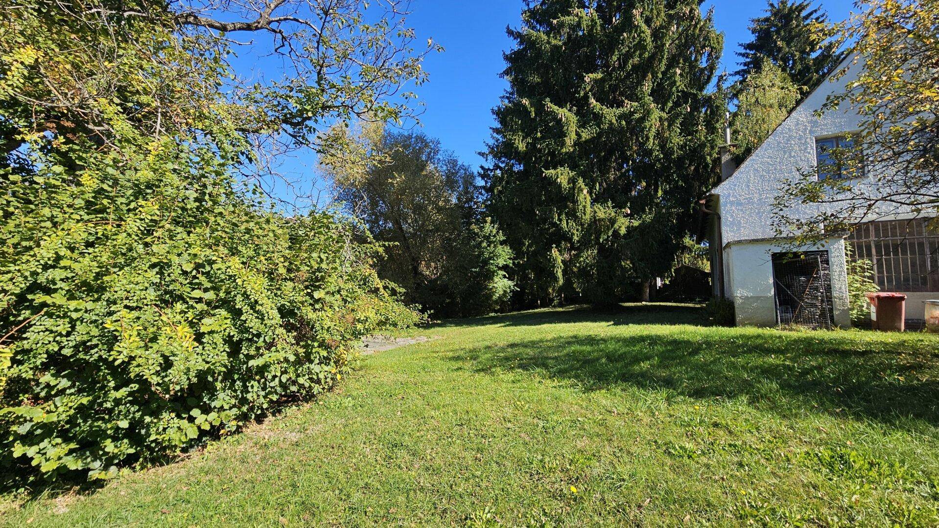 Großer, gepflegter Gartenbereich mit üppigem Grün und hohen Bäumen unter blauem Himmel.