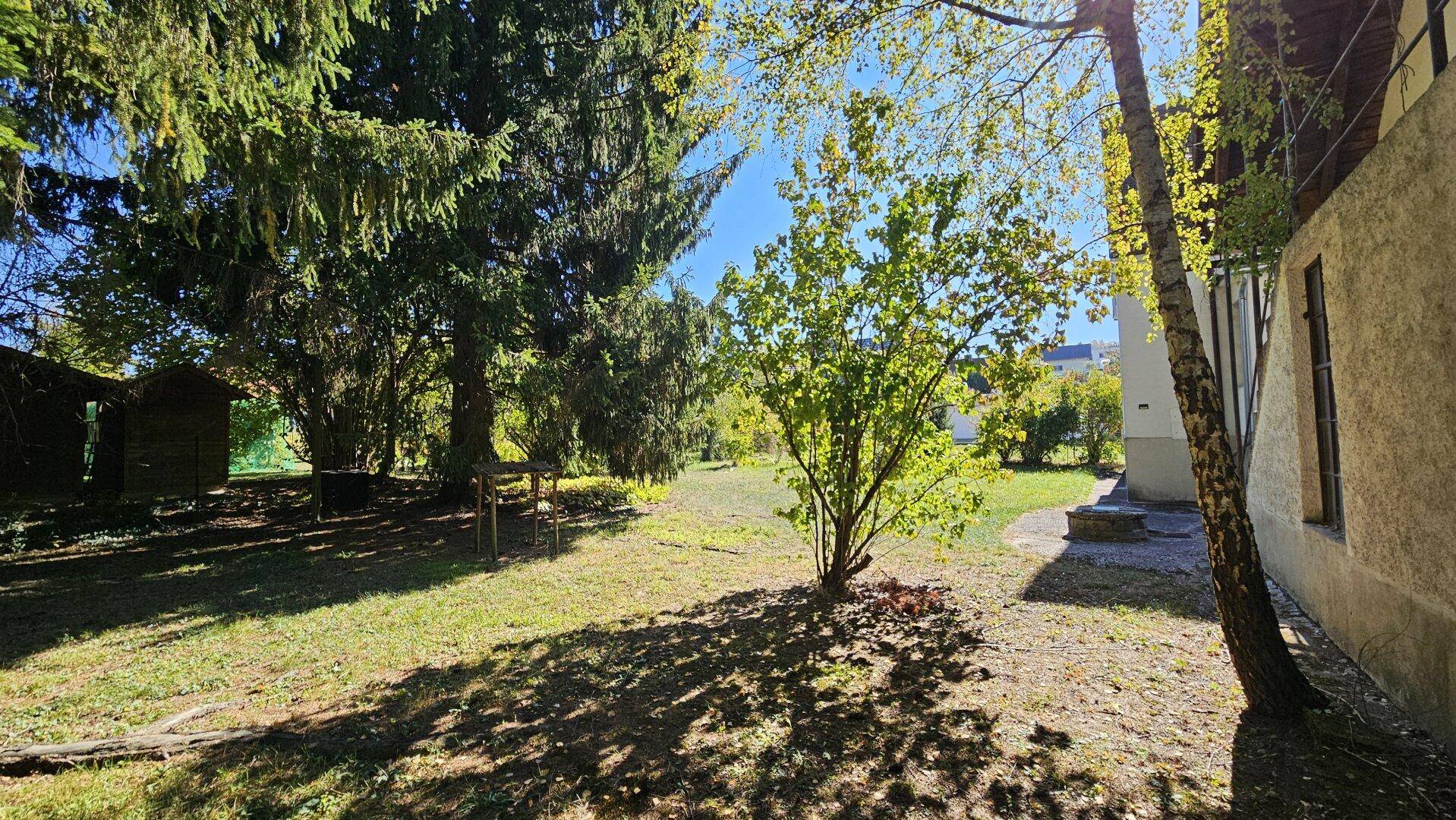 Sonnige Gartenseite des Hauses mit Rasenfläche und schattenspendenden Bäumen.