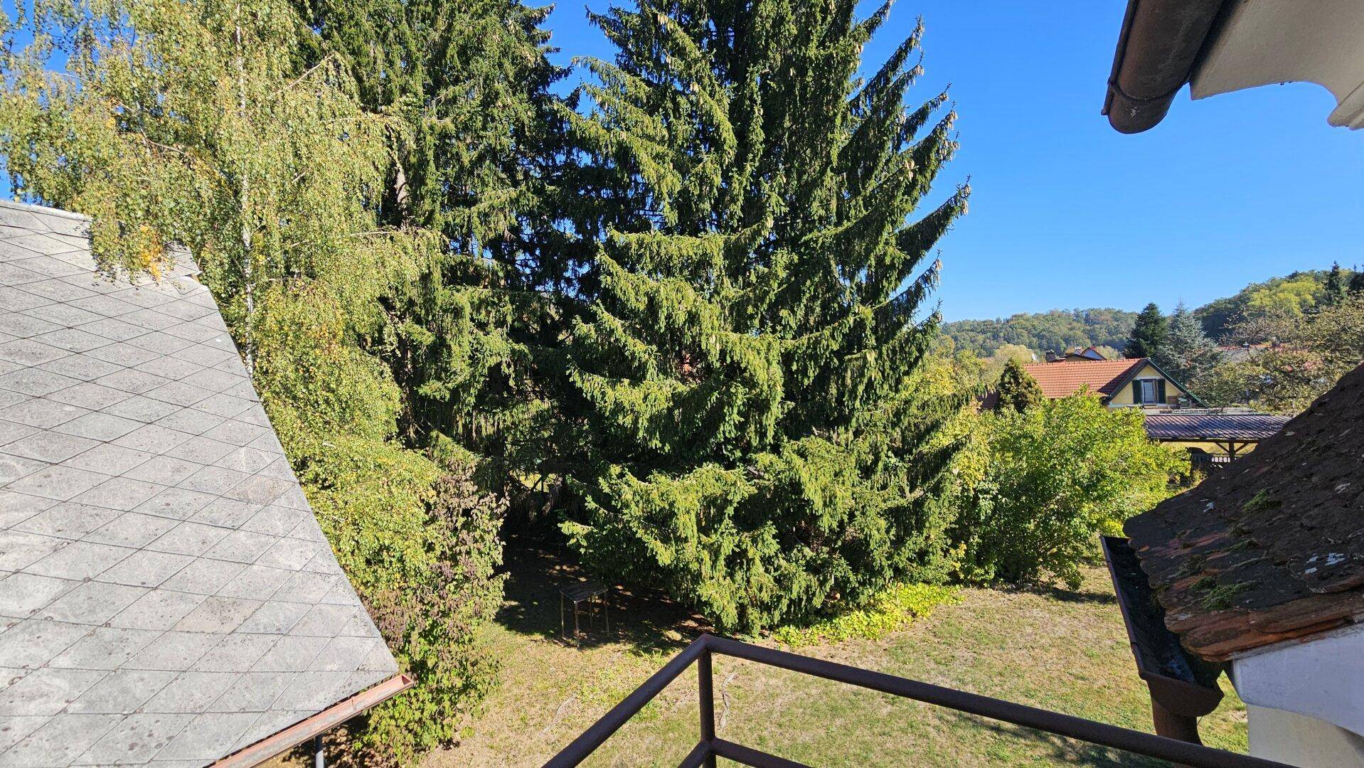 Ausblick von oben auf grüne Bäume und Dächer der umliegenden Häuser.