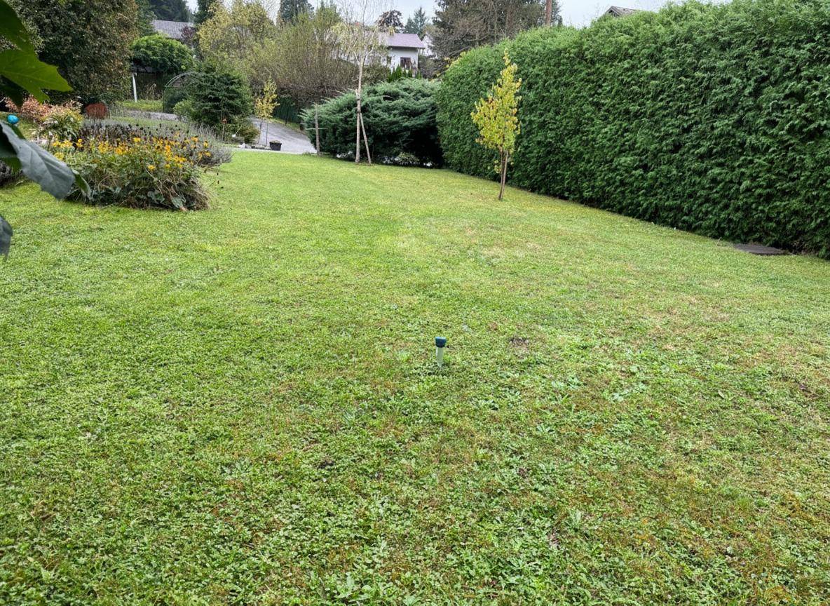 Gepflegte Rasenfläche in einem weitläufigen Garten, umgeben von einer hohen, dichten Hecke.