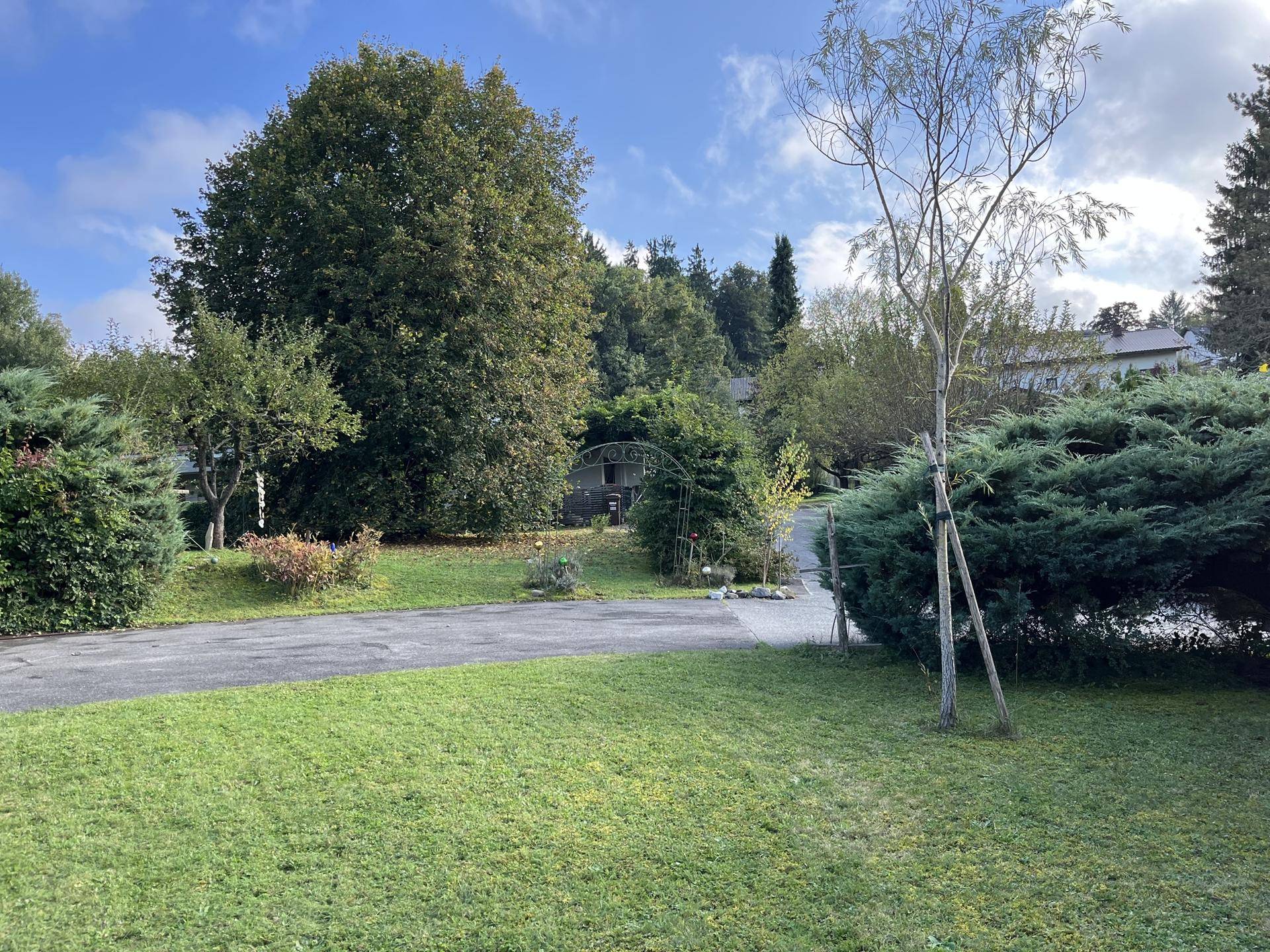 Großer Gartenbereich mit altem Baumbestand, Rasenfläche und einem geschwungenen Weg unter blauem Himmel.