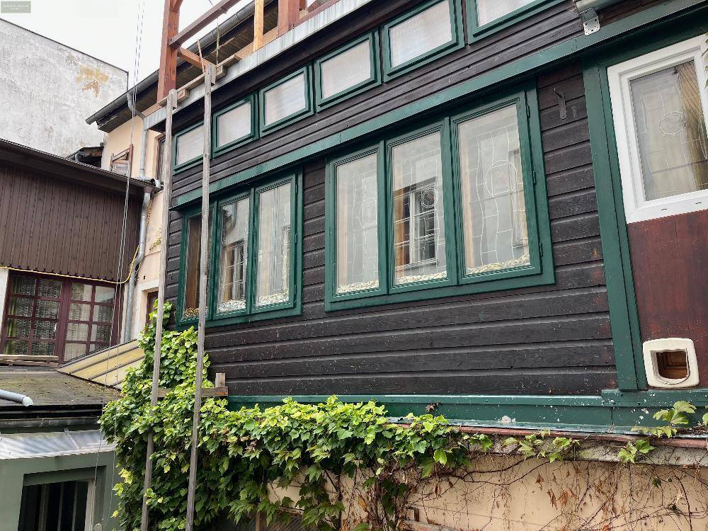 Außenansicht eines Anbaus mit dunkler Holzverkleidung und grünen Fensterrahmen, umgeben von Vegetation.