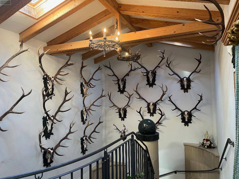 Steintreppe mit schmiedeeisernem Geländer und zahlreichen Hirschgeweihen als Wanddekoration in einem hohen Raum.