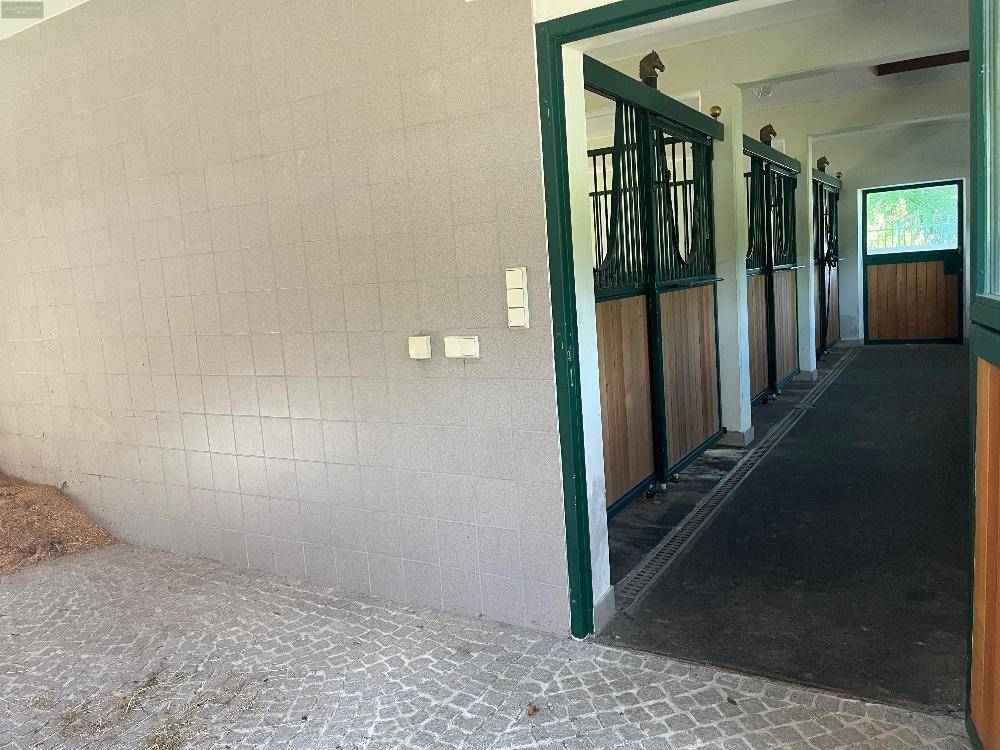 Innenansicht eines Pferdestalls mit gefliesten Wänden und robusten Holzboxen für die Tiere.