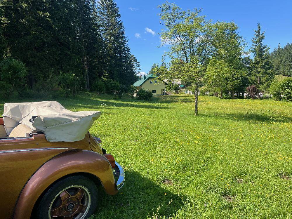Weitläufige grüne Wiese mit einem Oldtimer, im Hintergrund ein Haus und dichter Wald unter blauem Himmel.