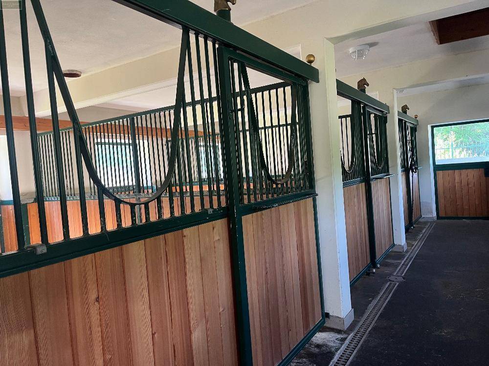 Pferdeställe mit robusten Holz- und Metallabtrennungen, bereit für die Unterbringung von Tieren.