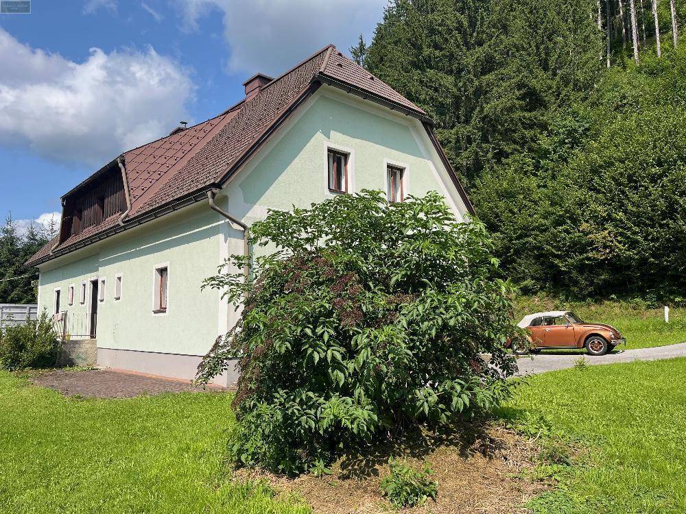 Seitenansicht des Landhauses mit grüner Fassade, umgeben von üppiger Vegetation und Wald im Hintergrund.