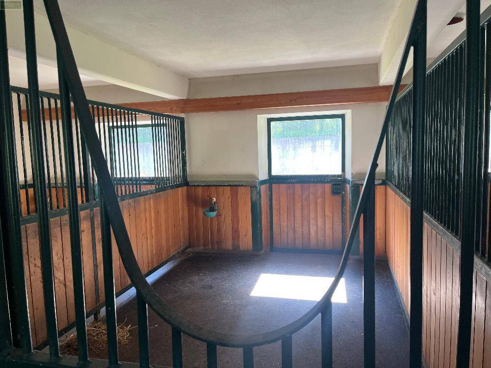 Leere Pferdebox mit Holzwänden und einem Fenster, das Tageslicht in den Stall hereinlässt.