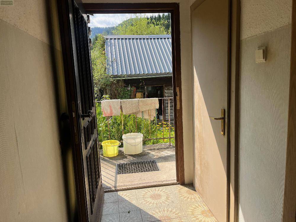 Blick aus einer Tür auf einen Außenbereich mit Wäscheleine und Eimern, umgeben von Grün.