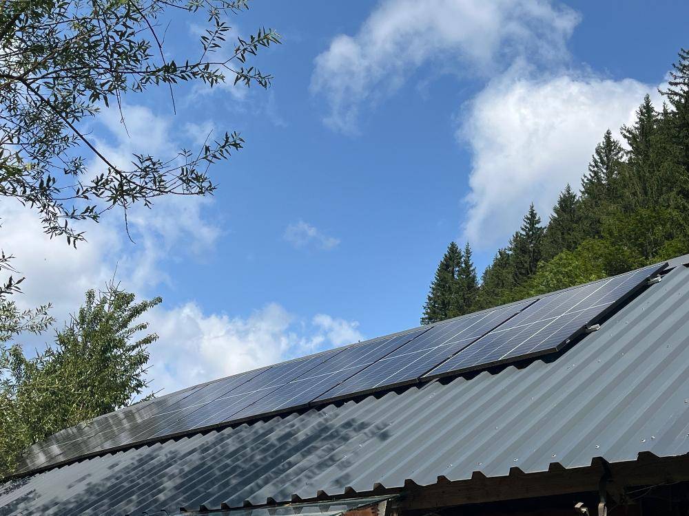 Photovoltaikanlage auf einem Wellblechdach mit Wald im Hintergrund unter blauem Himmel.