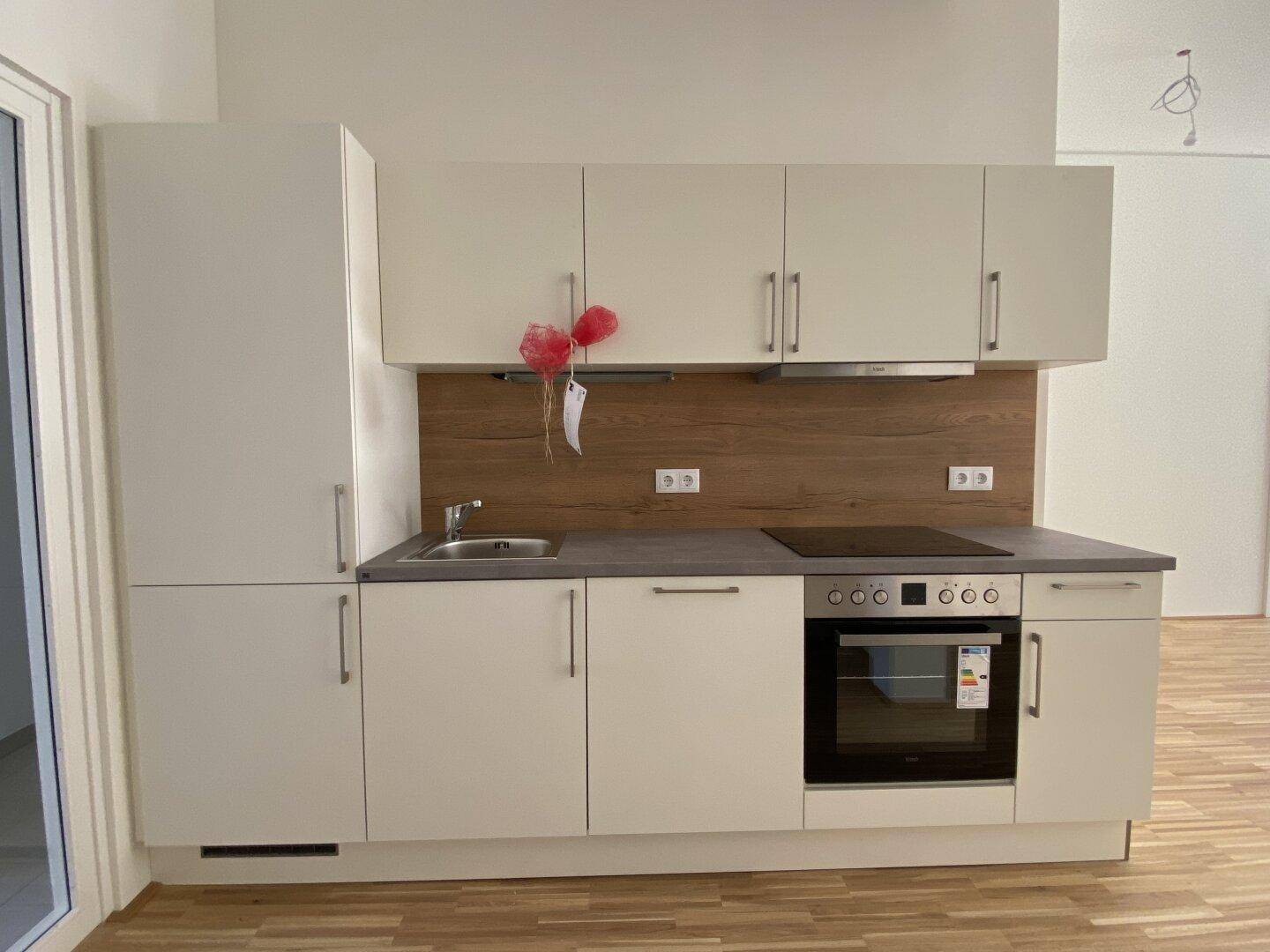 Detailansicht der neuen Einbauküche mit integriertem Backofen und Induktionskochfeld.
