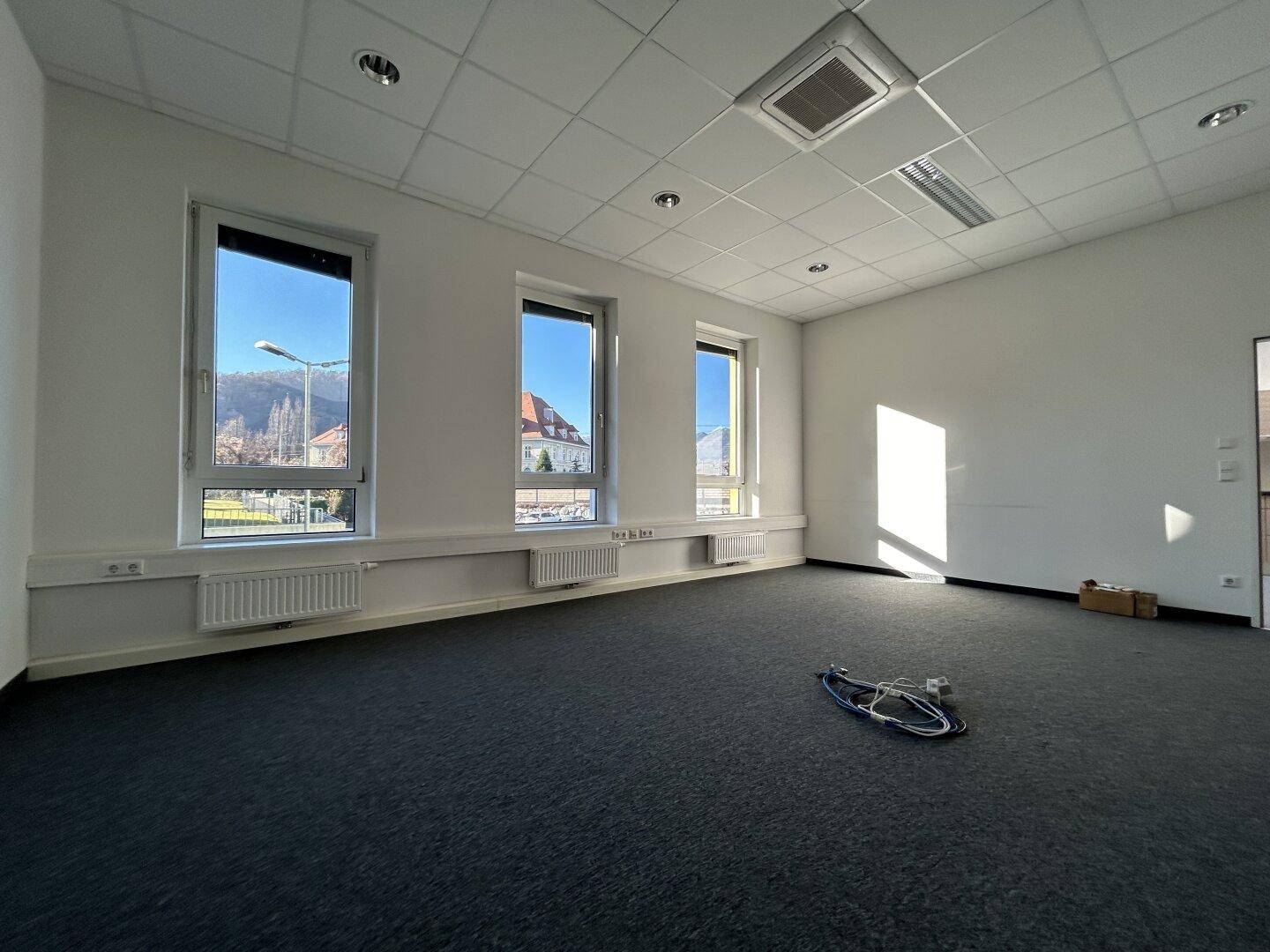 Heller Büroraum mit grauem Teppichboden, drei Fenstern und Heizkörpern, der von natürlichem Sonnenlicht durchflutet wird.