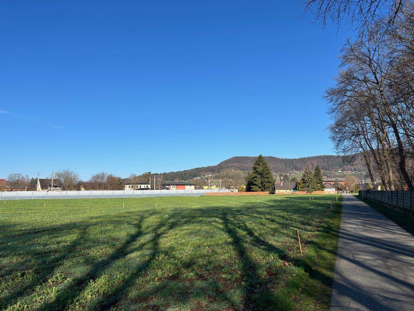 Sonniges grünes Feld mit einem Weg, umgeben von Bäumen und Hügeln in der Ferne.