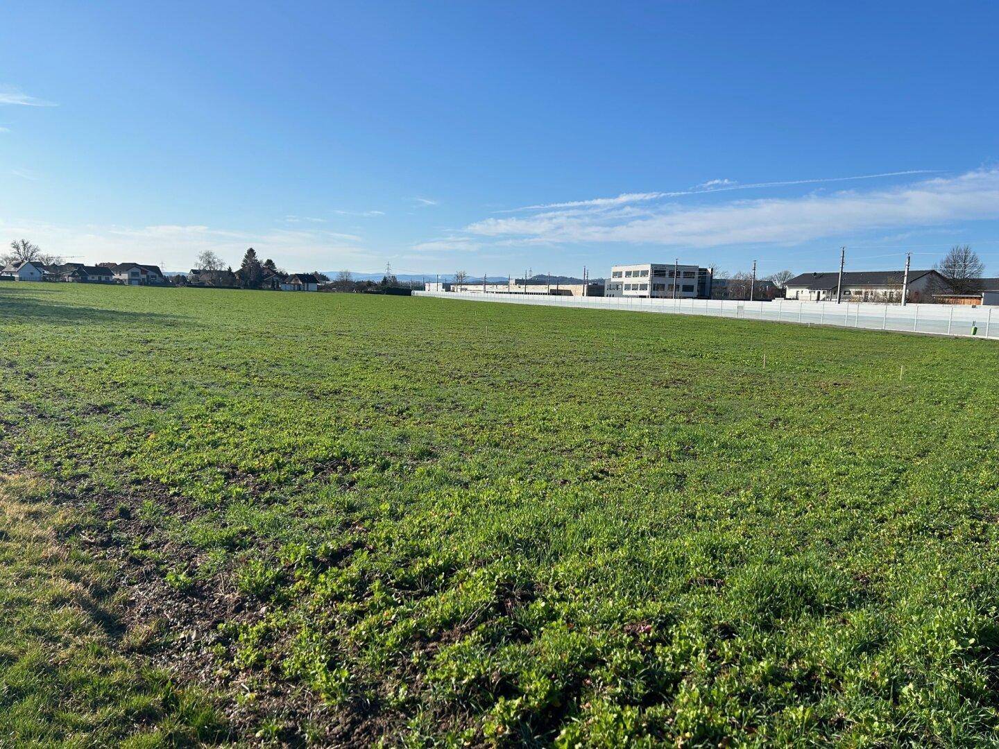 Ausgedehntes grünes Feld mit einer weißen Abgrenzung und Gebäuden am Horizont an einem sonnigen Tag.