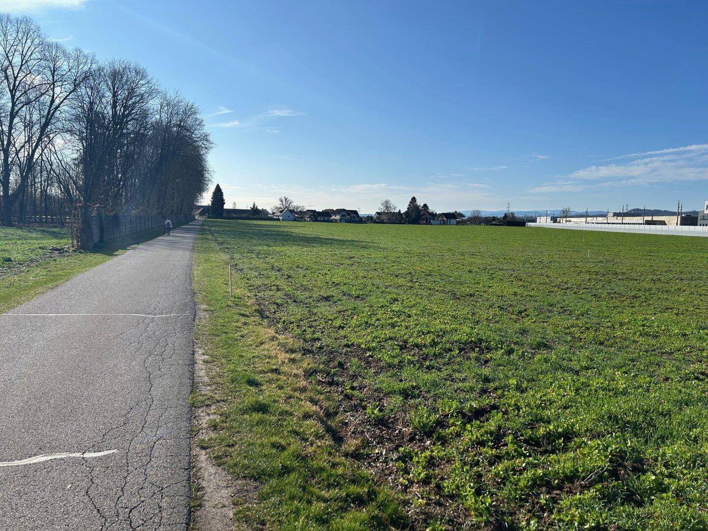 Grünes Feld neben einem asphaltierten Weg, gesäumt von Bäumen und mit Blick auf entfernte Gebäude.