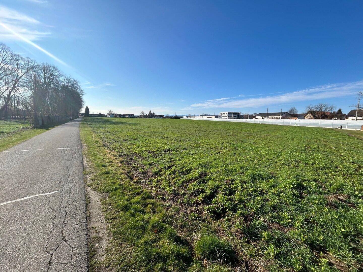 Breiter Weg entlang eines weiten grünen Feldes mit sonnigem Wetter und Bäumen.