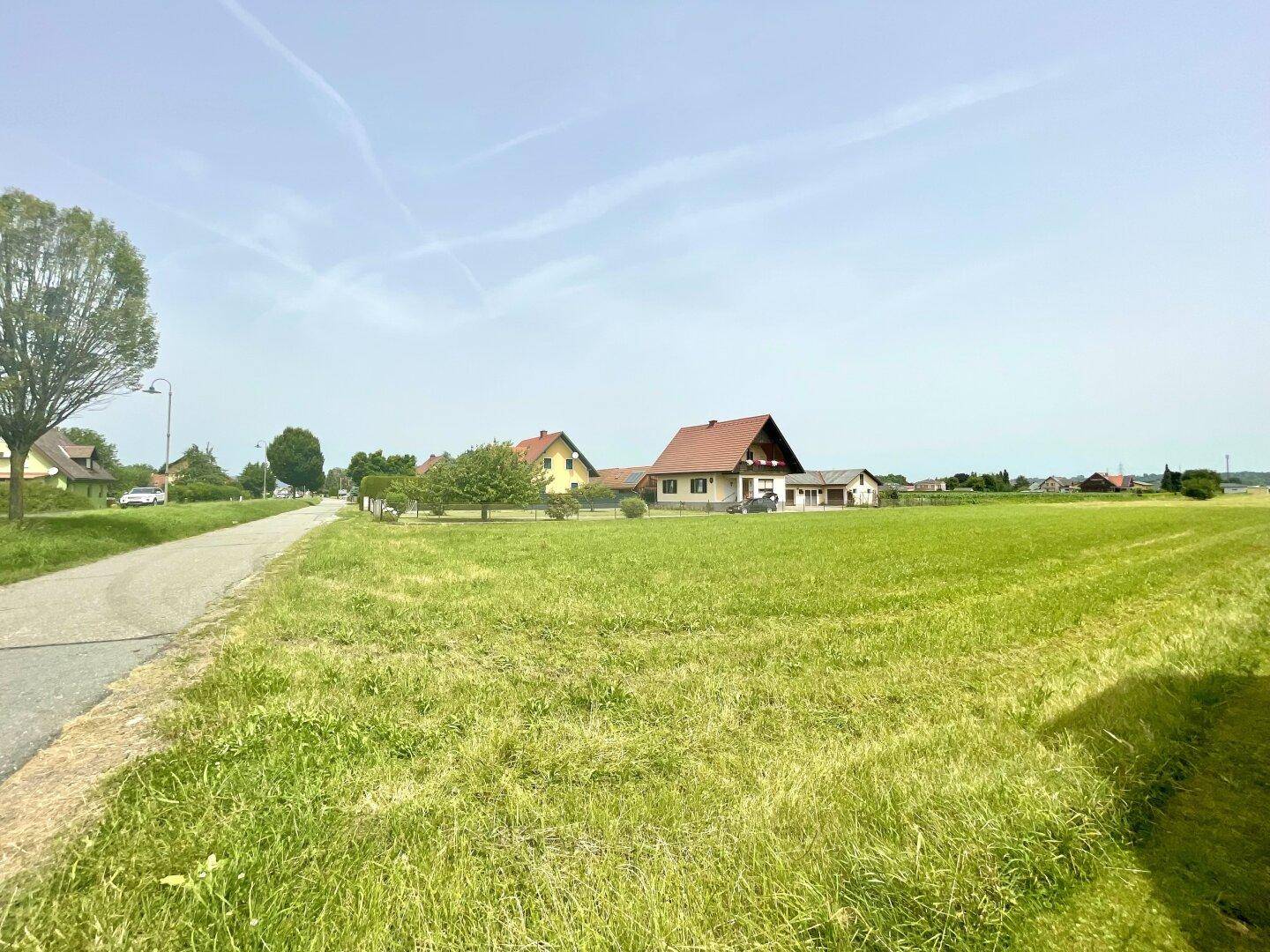 Panoramablick über eine grüne Wiese mit Wohnhäusern und einer Straße am Horizont.