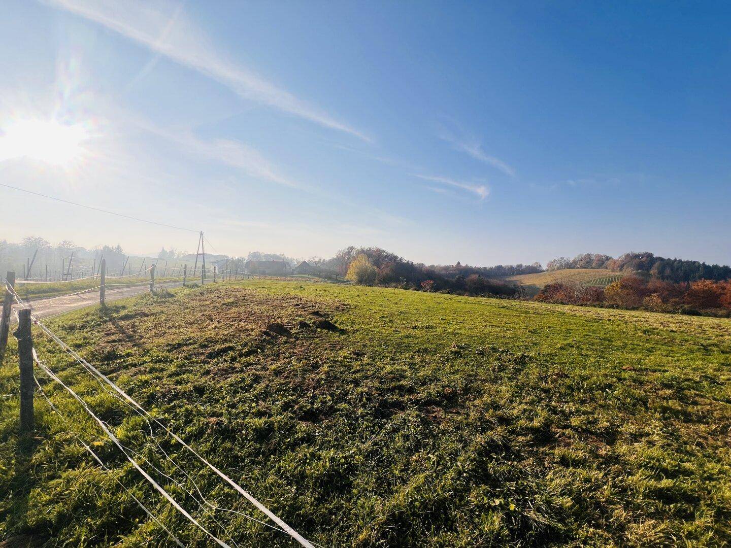 Sonnige ländliche Landschaft mit einem Feldweg, grünen Wiesen und bewaldeten Hügeln in der Ferne.