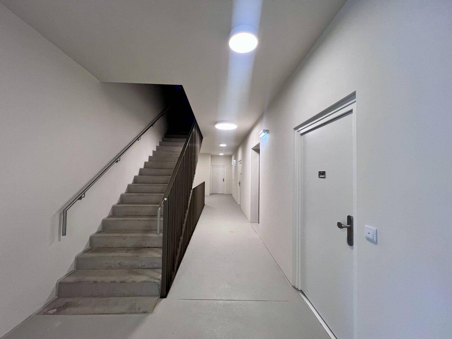 Heller Flur mit Treppenhaus und Zugang zu mehreren Wohneinheiten in einem modernen Gebäude.