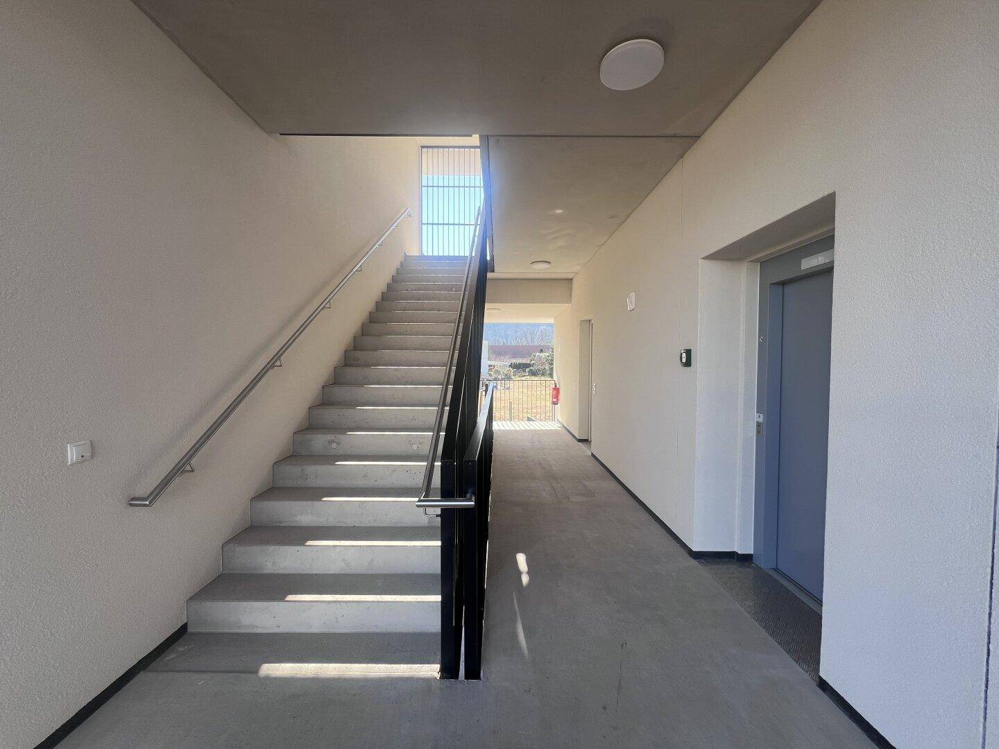 Helles Treppenhaus mit modernem Design, Handlauf und Zugang zu einem Aufzug.