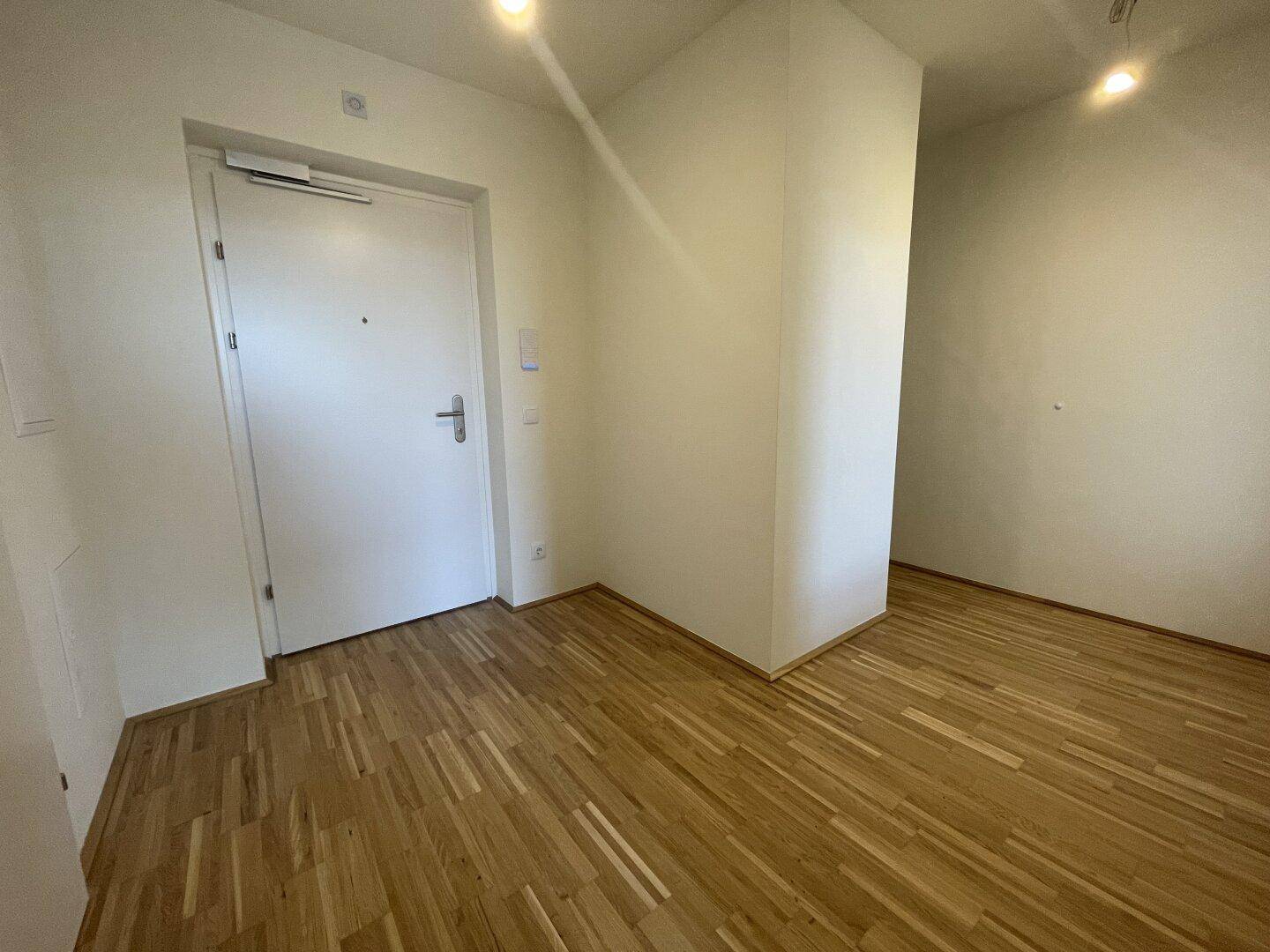 Eingangsbereich mit Holzboden und weißer Wohnungstür, der einen modernen und sauberen Eindruck vermittelt.