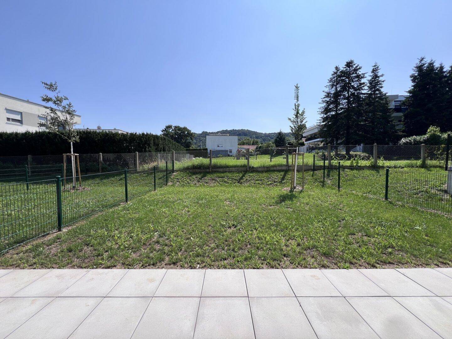 Gepflegte Gartenfläche mit jungen Bäumen und Zaun, angrenzend an eine gepflasterte Terrasse.