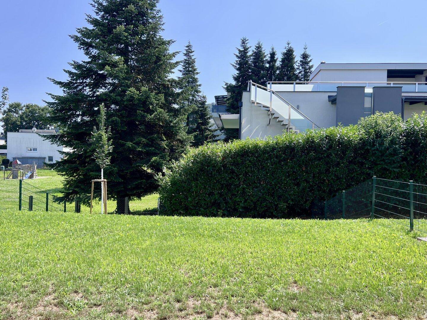 Gepflegter Gartenbereich mit Rasenfläche, Bäumen und Hecke, umgeben von einem Zaun.