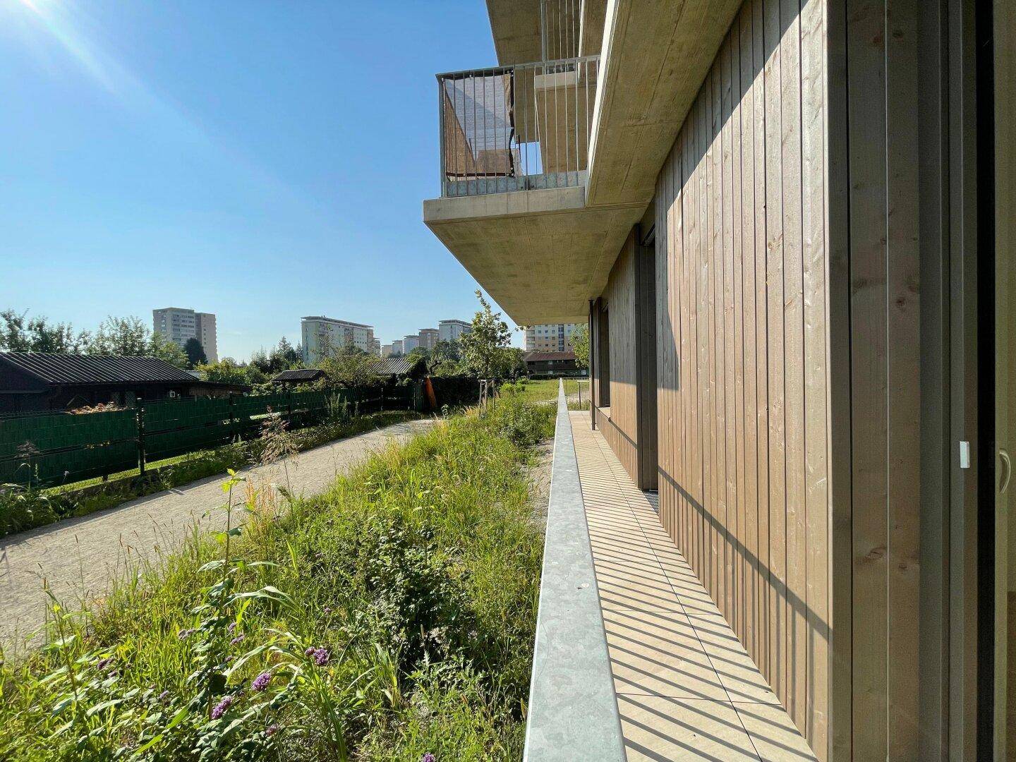 Sonniger Terrassenbereich mit Holzfassade und Blick auf die grüne Umgebung und weitere Gebäude.