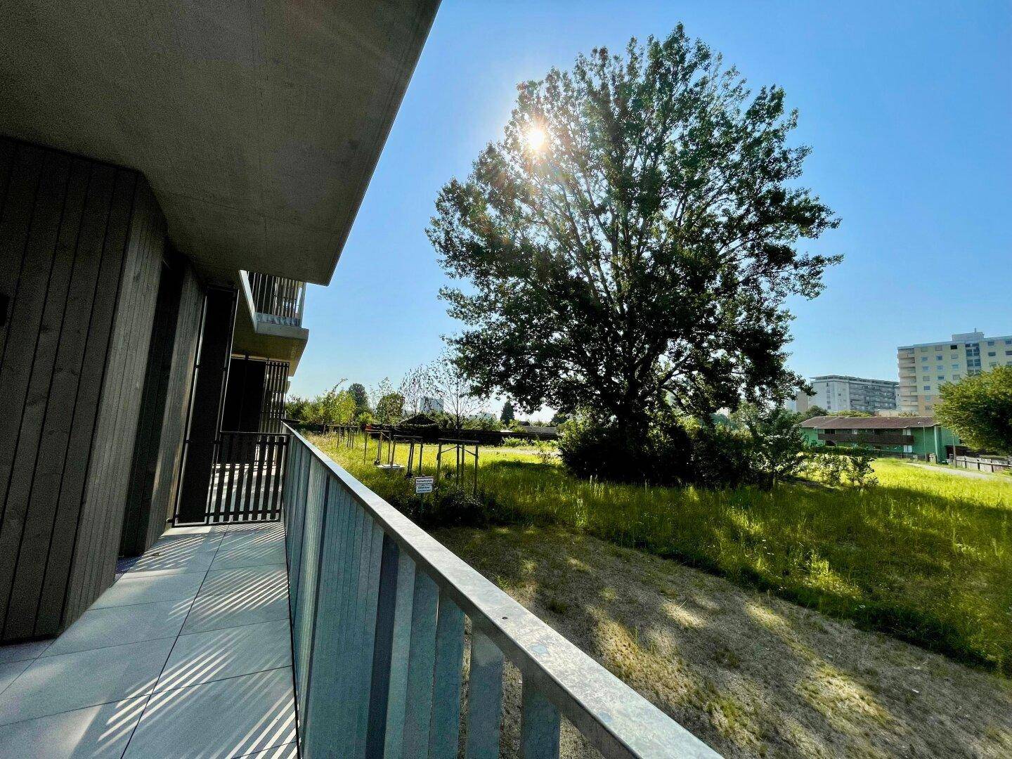 Sonniger Balkon mit weitem Blick auf einen großen Baum und eine offene Grünfläche.