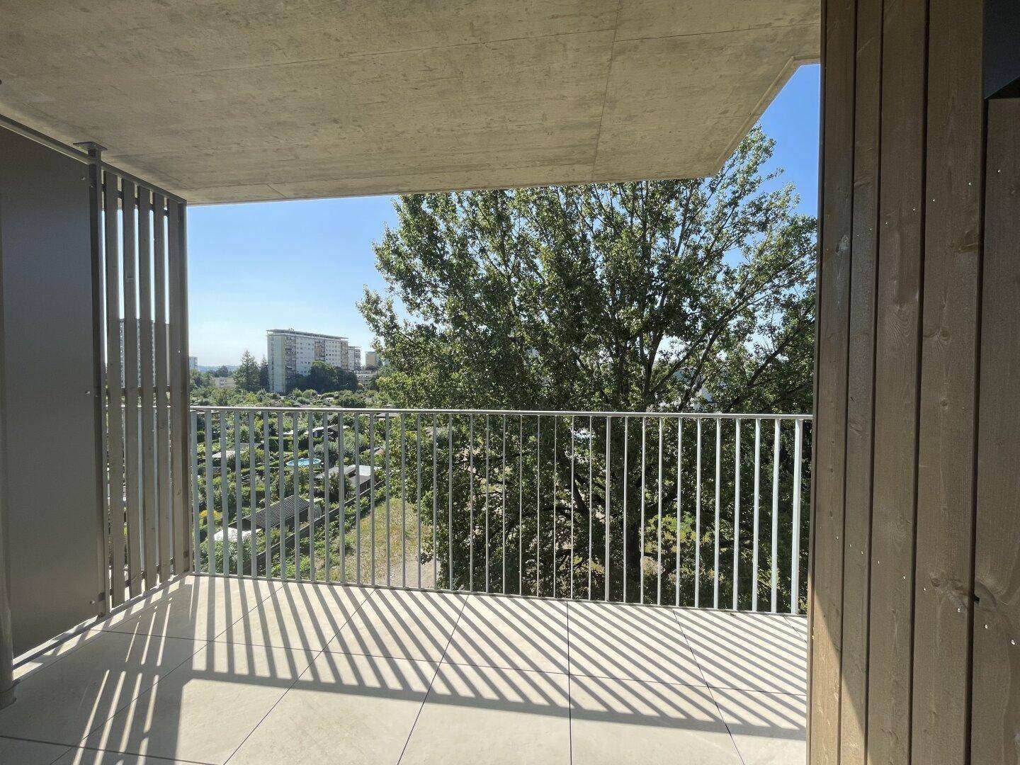 Geräumiger Balkon mit Blick auf einen großen Baum und die umliegende Wohnbebauung.