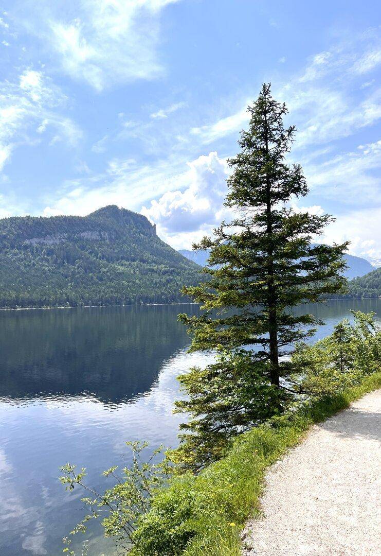 Idyllischer Uferweg entlang eines klaren Bergsees mit majestätischer Bergkulisse im Hintergrund und hohen Bäumen.