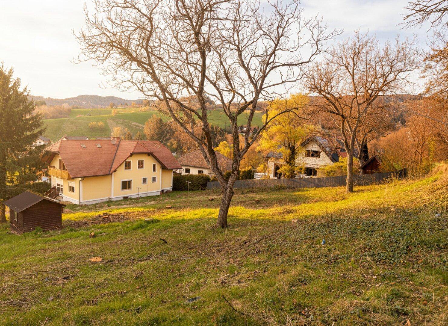 Herbstliche Landschaft mit einem gelben Haus, kahlen Bäumen und sanften Hügeln im warmen Sonnenlicht.