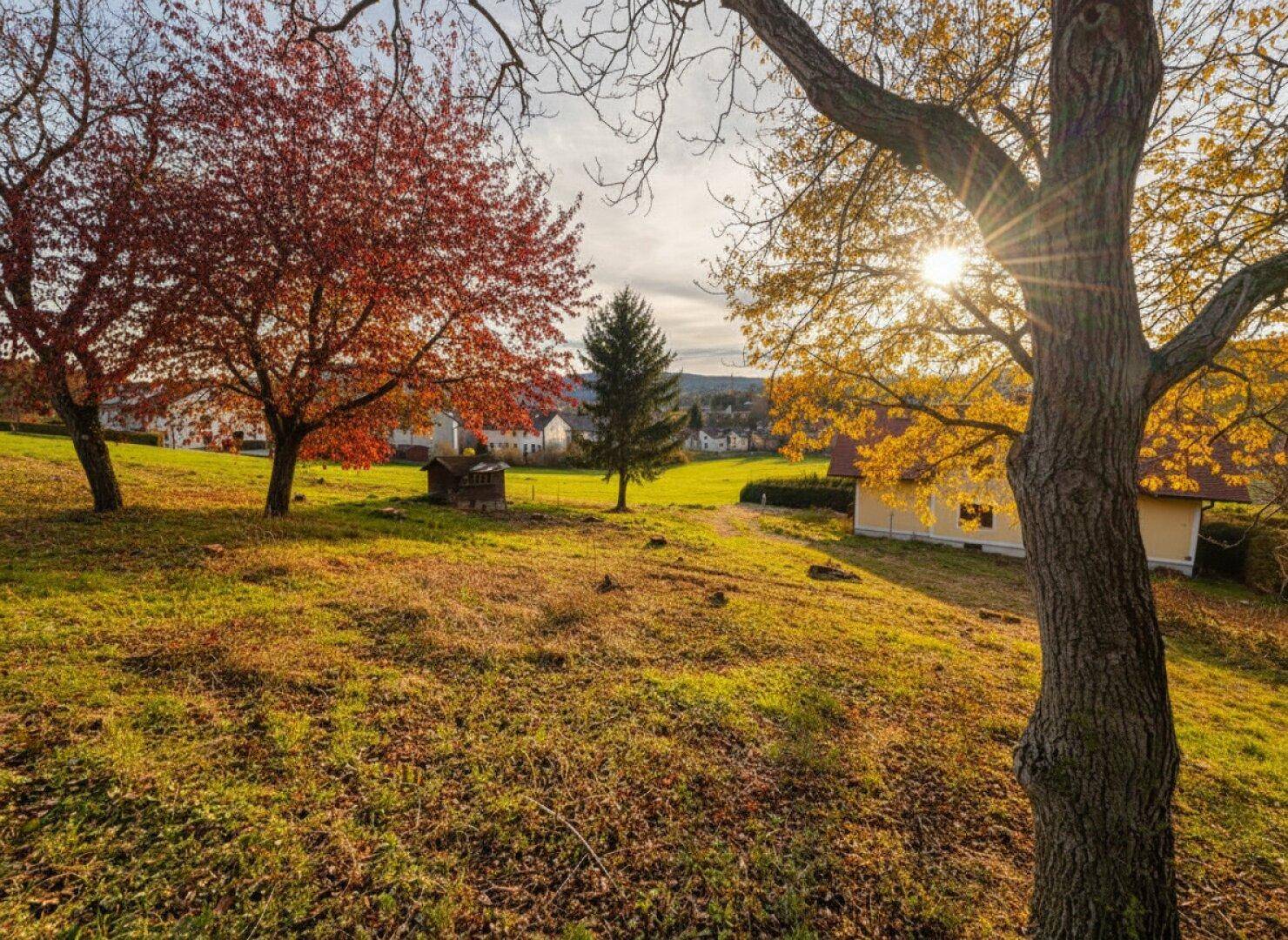 Malerische Herbstlandschaft mit bunten Bäumen, einem sonnigen Feld und Häusern in der Ferne.