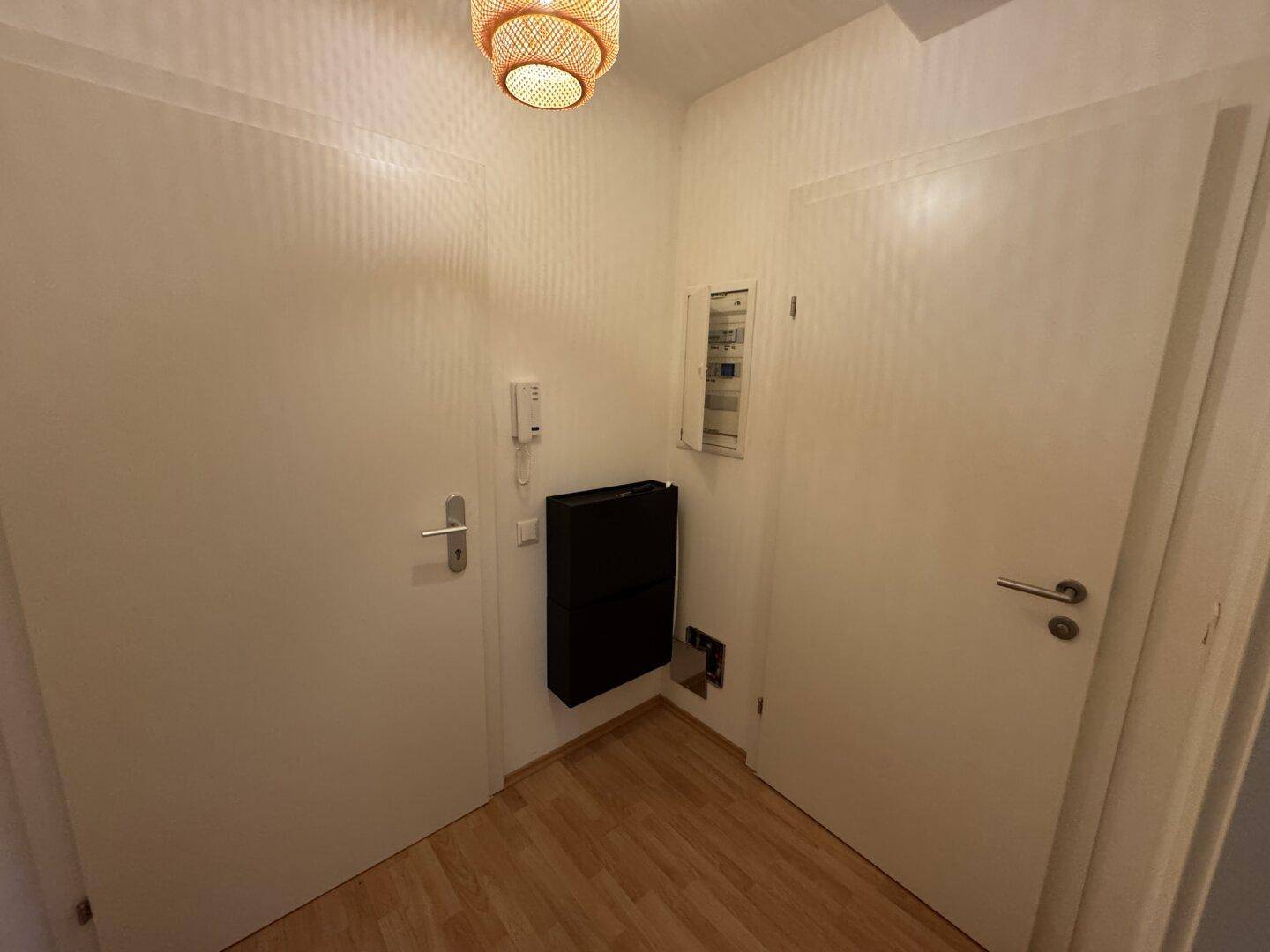 Eingangsbereich mit Holzboden, Gegensprechanlage und Zugang zu verschiedenen Räumen der Wohnung.