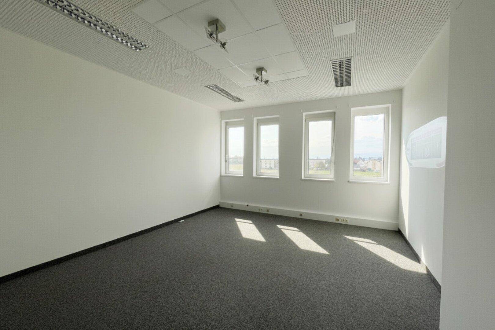Leeres, helles Büro mit Teppichboden, weißen Wänden und mehreren Fenstern, die Tageslicht hereinlassen.