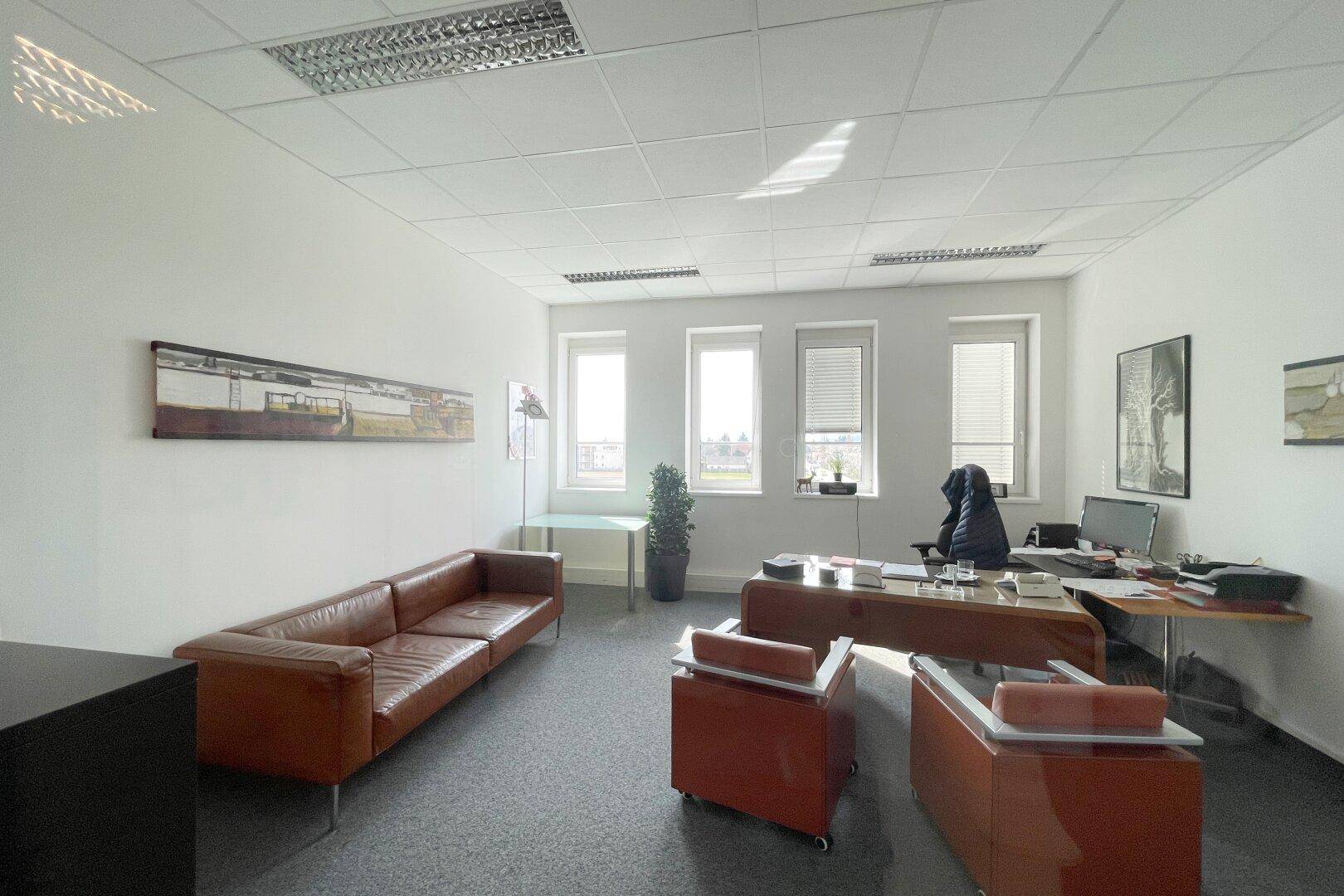 Geräumiges Büro mit braunem Ledersofa, Schreibtisch und mehreren Fenstern, die viel Tageslicht hereinlassen.