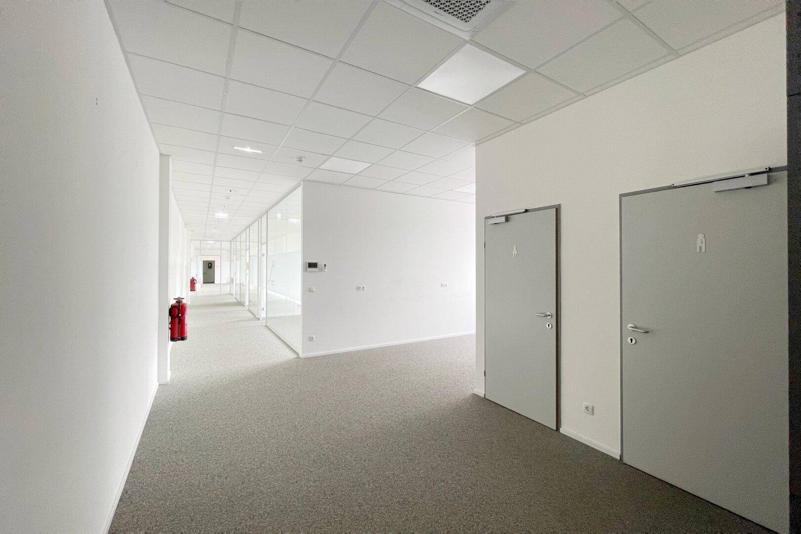 Heller Bürogang mit Teppichboden, Glaswänden und zwei Türen zu weiteren Räumen.