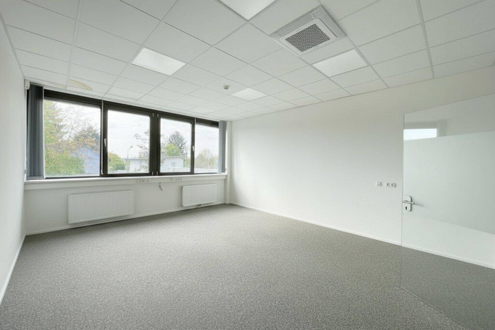 Leeres Büro mit Teppichboden, Fenstern mit Blick nach draußen und weißer Wandfarbe.