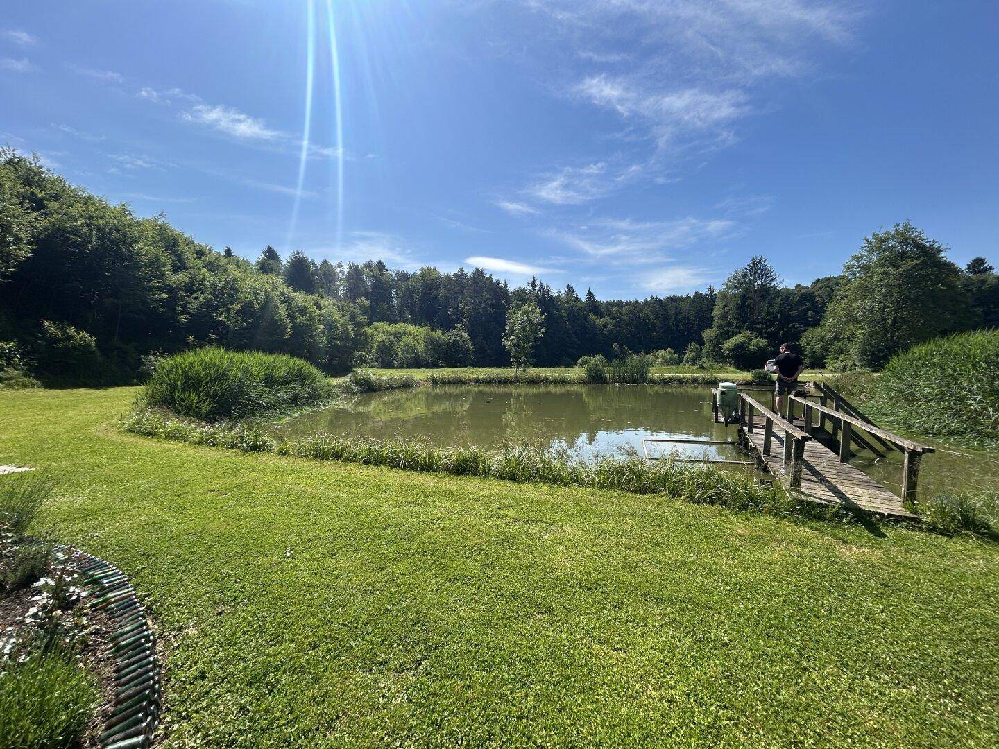 Idyllischer Teich mit Holzsteg, umgeben von üppigem Grün und Wald unter strahlend blauem Himmel.