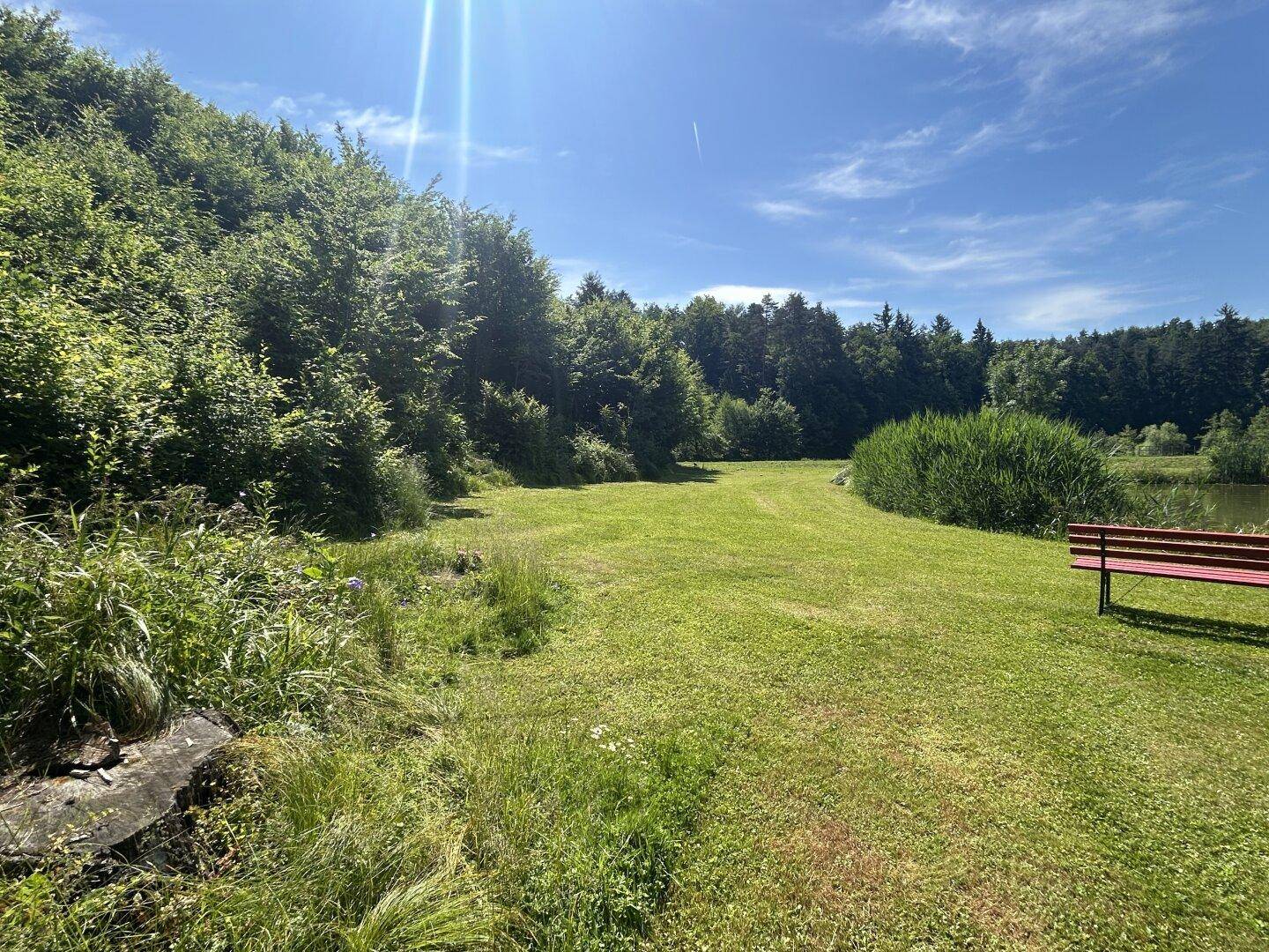 Grüne Wiese am Waldrand mit einer roten Bank und Blick auf einen Teich in der Ferne.