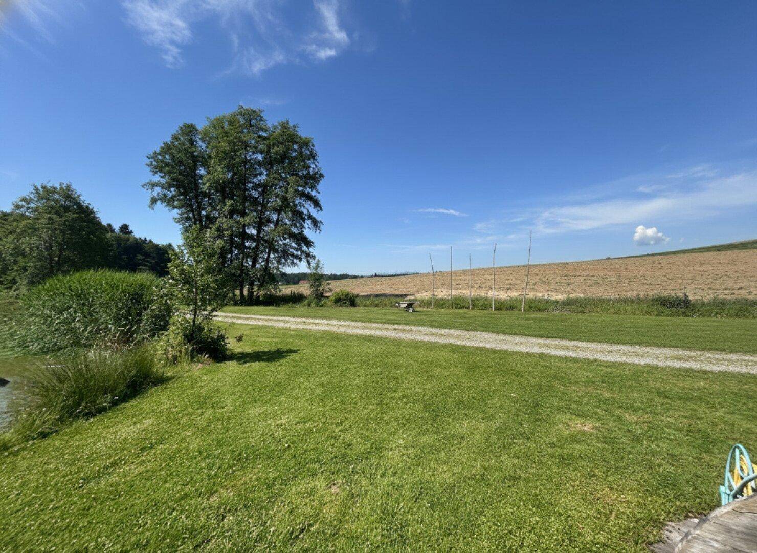 Weitläufige grüne Wiesenfläche mit einem Feldweg und Bäumen im Hintergrund unter klarem Himmel.