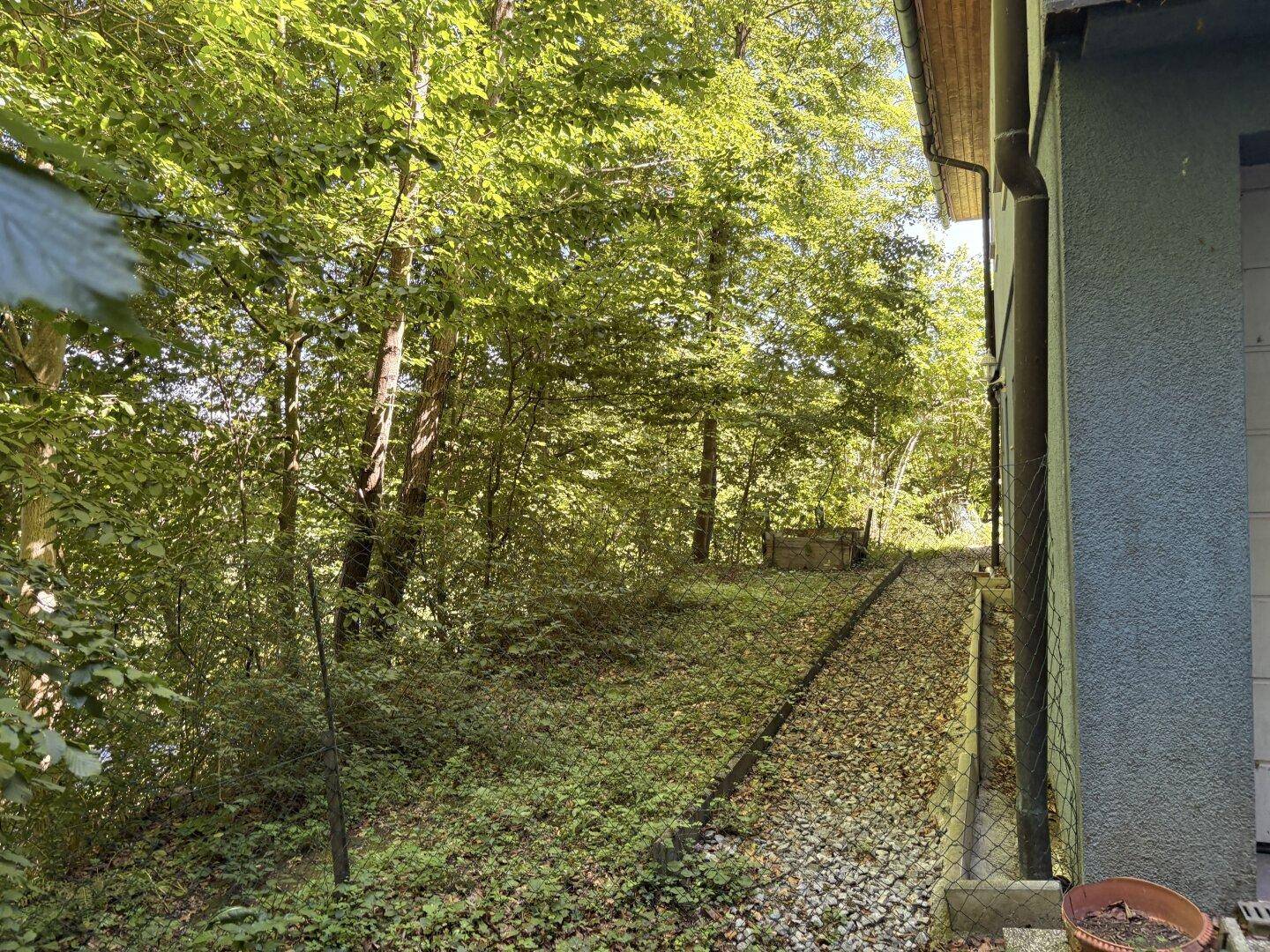 Einfamilienhaus in Ruhelage in Eggersdorf bei Graz - Ansicht 4