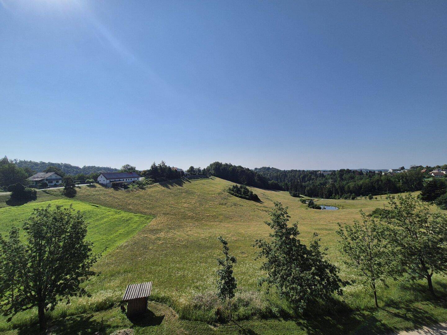Weitläufige grüne Landschaft mit Hügeln, Bäumen und einem kleinen Teich unter blauem Himmel.