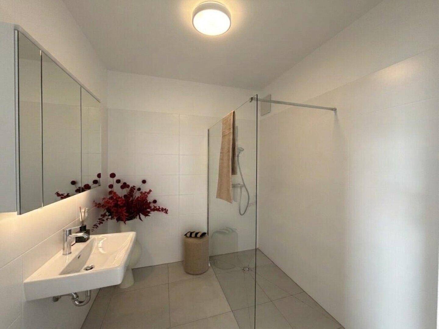 Modernes Badezimmer mit begehbarer Dusche, Waschtisch und Spiegelschrank.