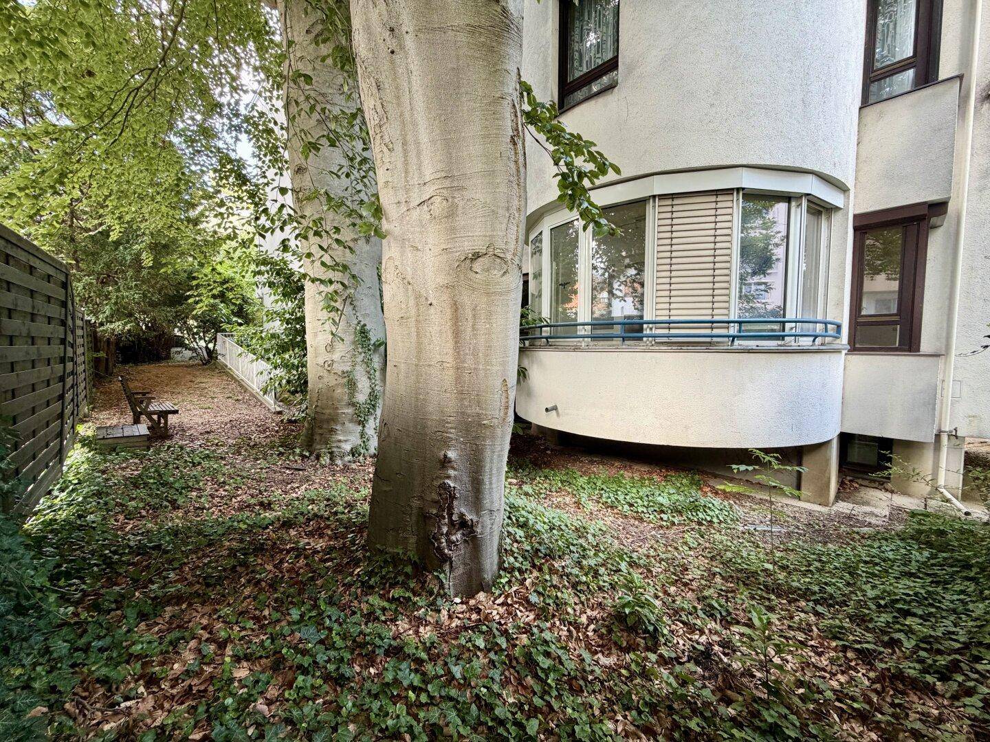 Naturbelassener Gartenbereich mit großen Bäumen und üppigem Bodendecker.