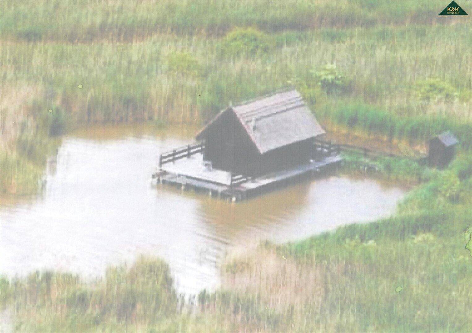Luftaufnahme einer kleinen Hütte auf einem Floß in einem Teich, umgeben von üppiger Vegetation.