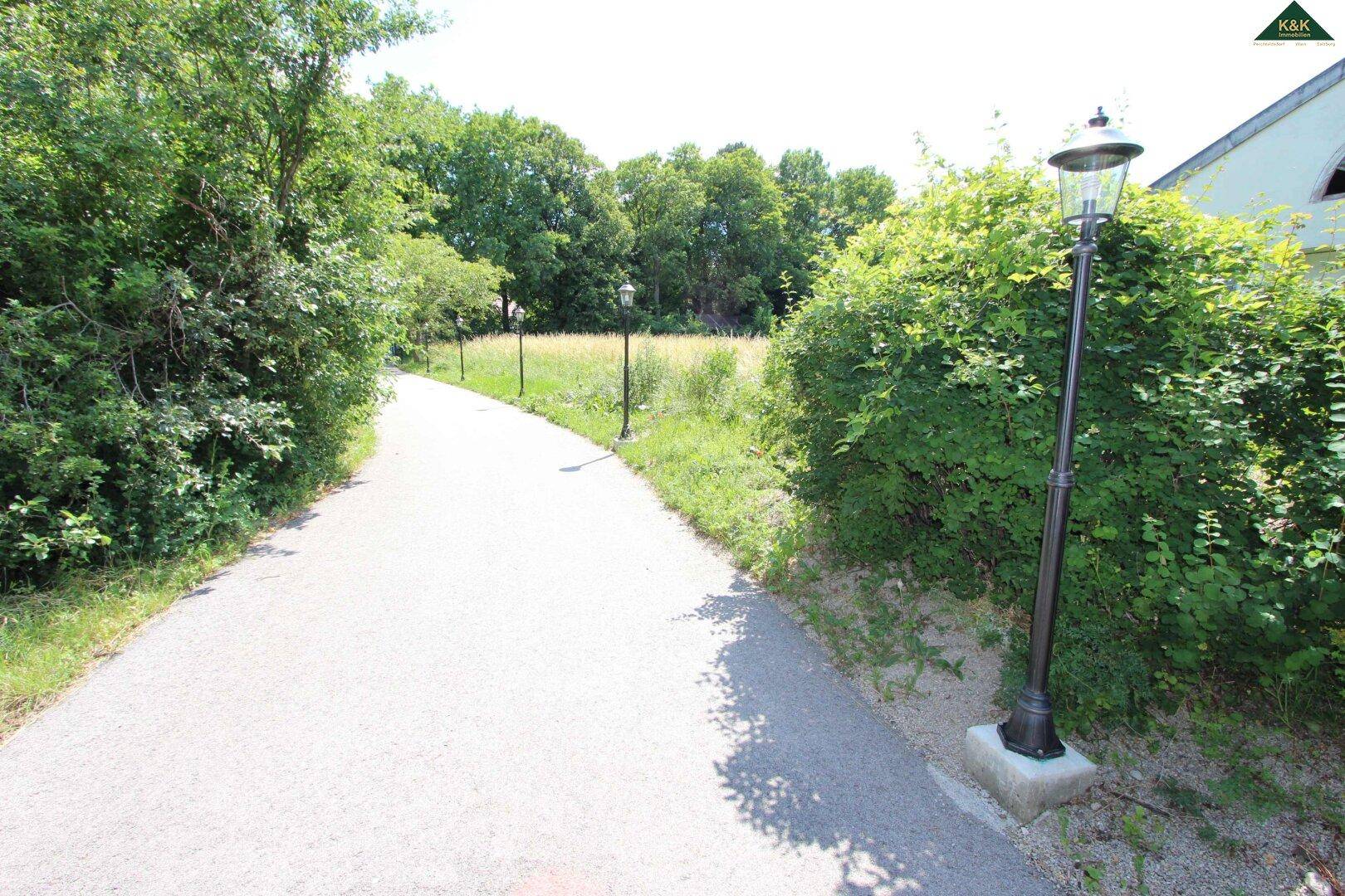 Gepflasterter Weg mit Laternen, umgeben von üppigem Grün und Bäumen.