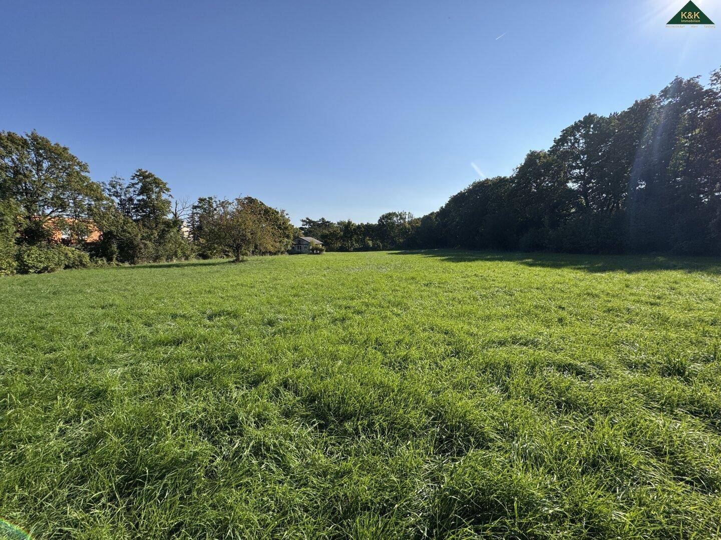 Weite grüne Landschaft mit Bäumen am Horizont und viel Sonnenschein an einem klaren Tag.