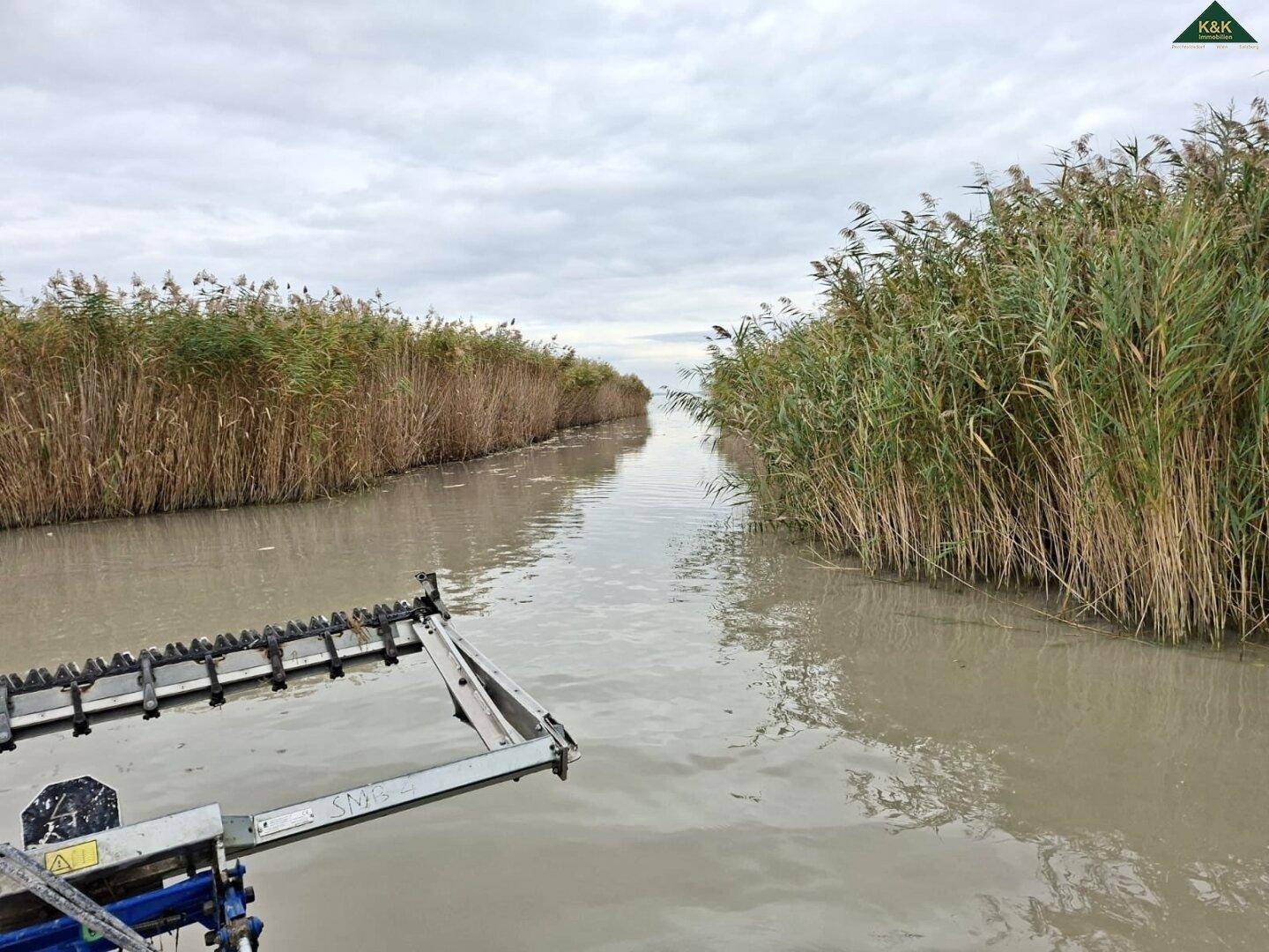 Wasserweg durch dichtes Schilf, aufgenommen von einem Boot aus, an einem bewölkten Tag.